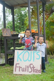 Hawaii Farm Fruit Stand