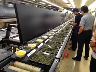 Tea buyers sample and bid on teas at a Kagoshima tea auction.