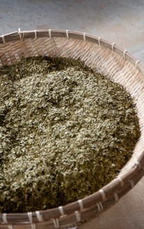 Sweet Roasted Green Tea