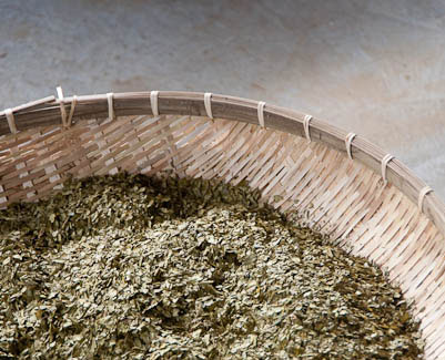Sweet Roasted Green Tea