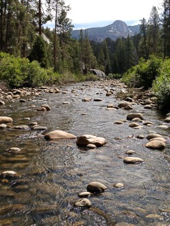 Mountain stream