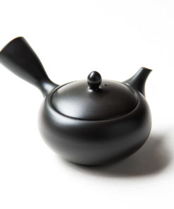 Black Tokoname Tea Pot